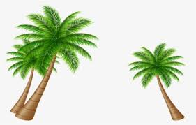 This free icons png design of palm or coconut tree silhouette png icons has been published by iconspng.com. Coconut Tree Images Png Images Transparent Coconut Tree Images Image Download Pngitem