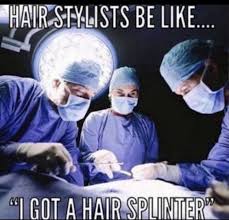 Hair Splinter Hairstylist Humor Hair Stylist Life Hairstylist Quotes