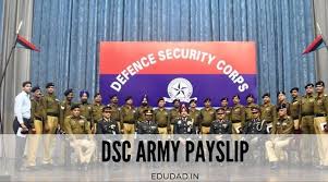Dsc Pay Slip Salary Pay Scale 2019 20 Per Month