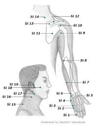 Acupressure Points Chart Acupressure Points Chart