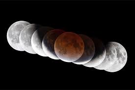 Solar and Lunar Eclipses in 2022 - Sky & Telescope - Sky & Telescope