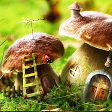 Pomoc w tej sprawie może uzyskać jedynie wiedza na temat wyglądu, cech i nazw każdego gatunku. Grzyby Jadalne I Trujace Opis Grzyba By Marzena Psik On Genially