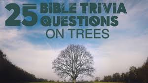 The ultimate bible quiz book test your knowledge of the bible with over 150 challenging questions and answers. 25 Bible Trivia Questions On Trees Letterpile