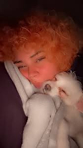 Is it normal for my chihuahua to sleep all the time??