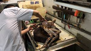 Is All Crab Cooked