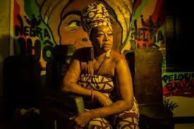 Image result for Afrobrunnichia