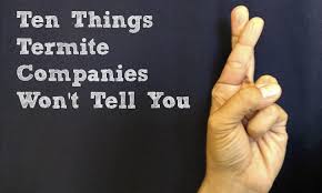Emergency pest control service available 24/7! 10 Things Termite Companies Won T Tell You Thrasher Termite Pest Control