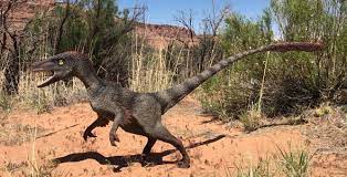 We did not find results for: Raptors Of A Feather Scientific American Blog Network