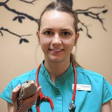 Dr. Noelle Webb, Halifax Veterinarian