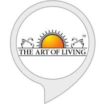 Others are simply for amusement. The Art Of Living Amazon In Alexa Skills