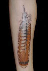 Red tailed hawk feather pictures. Forearm Hawk Feather Tattoo Novocom Top