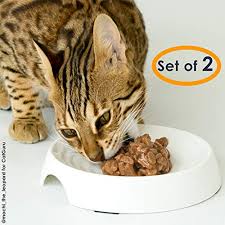 Small kitten eating dry cat food. Catguru Cat Food Bowl Whisker Stress Free Cat Bowls Whisker Fatigue Cat Bowl Wide Cat Dish