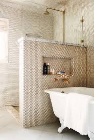 If you have a small bathroom, a walk in shower is the perfect way to maximise the space by keeping the shower. Pony Wall In Bathroom Design Ideas