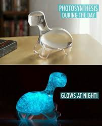 Dino Night Light Dino Pet Cool Things To Buy Cool Stuff