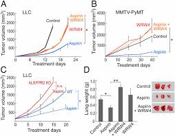 After adjusting for differences in age, race, body mass index, and smoking status, men without prostate cancer who took aspirin regularly had a 24 percent lower risk of developing the disease. Aspirin Triggered Proresolving Mediators Stimulate Resolution In Cancer Pnas