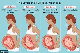Pin On Pregnant