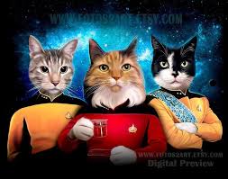 You Can Get A Custom Portrait Of Your Pet Sitting On The Iron Throne Or As A Star Trek Captain Paint Your Pet Your Pet Custom Pet Portraits