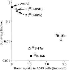 Design, Synthesis, and Biological Evaluation of Boron-Containing  Macrocyclic Polyamines and Their Zinc(II) Complexes for Boron Neutron  Capture Therapy