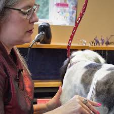 138 likes · 2 were here. Tlc Dog Grooming