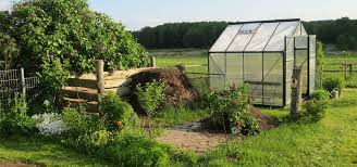 Wer ein derartiges tomatenhaus selber bauen will, der benötigt die folgenden materialien und. Gewachshaus Selber Bauen Worauf Du Bei Einem Treibhaus Achten Musst Utopia De