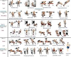 Image Result For Dumbbell Lifts Body Workout Plan Muscle Building Workouts Lean Muscle Workout