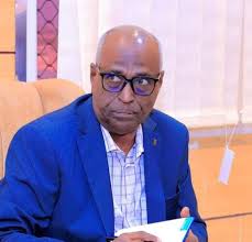 Abdisalan Ali Farah (Biligsay)