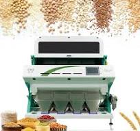 Automatic Hot Chilli Stem Removing Pepper Seed Separator and Chili Color Sorter Machine