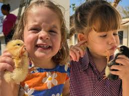 Novos pets! Virginia compra galinhas e pintinhos para as filhas