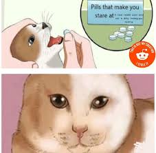 We did not find results for: Give Yourself A Pat On The Back Memes