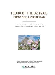 Image result for Zygophyllum leucocladum