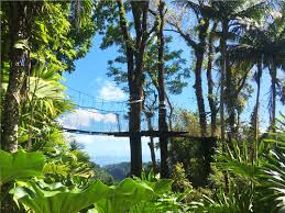 Balata Garden Admission Tickets Beyond The Beach