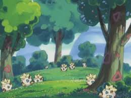 Wie fängt man das spiel neu an? Togepi Pokewiki