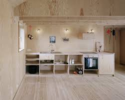 the unexpected appeal of plywood