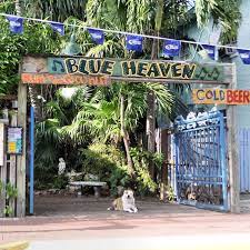Great offer for your next stay. Blue Heaven Key West Photo Gallery