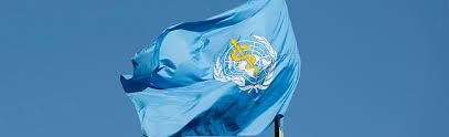 International Governance Of Global Health Pandemics Asil