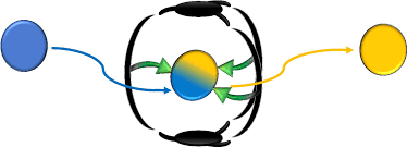 Reactions in Endohedral Functionalized Cages