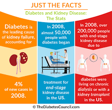 The treatment of acute renal failure depends on the underlying cause and may include iv fluids, blood pressure the combined use of the vasopressor midodrine and the hormone sandostatin (octreotide) may the diseases may include chronic illnesses like diabetes, autoimmune ones like lupus, or. Diabetes And Renal Failure Everything You Need To Know