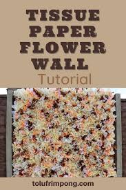 Maybe you would like to learn more about one of these? Tissue Paper Flower Wall Photo Backdrop Simple Diy Tutorial