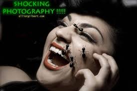 Elliot Gilbert Photography (@ElliotGilbertPhotography) • Facebook