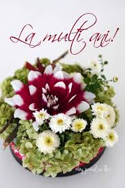 Imagini Pentru Fotografii Pentru La Multi Ani Birthday Wishes Happy Birthday Birthday