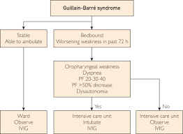 Guillain Barre Syndrome Mayo Clinic Proceedings