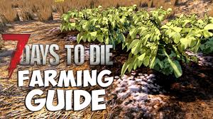 7 days to die has a compelling premise, but it withers within minutes. 7 Days To Die Farming Guide Pc Xbox One Ps4 7 Days To Die Farming Guide Tutorial Alpha 15 14 Youtube