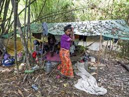 Orang asli di gua musang hilang mata pencarian. Isu Nyawa Orang Asli Bateq Di Gua Musang