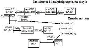 Analysis Of Group Iii Cations Homework Sample