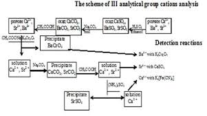 analysis of group iii cations homework sample