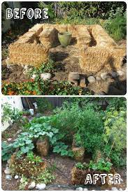 Introduction To Straw Bale Gardening 1001 Gardens Strawbale Gardening Straw Bale Gardening Hay Bale Gardening