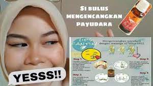 We did not find results for: Cara Pakai Minyak Bulus Sr12 Untuk Payudara Duo Bulus Youtube