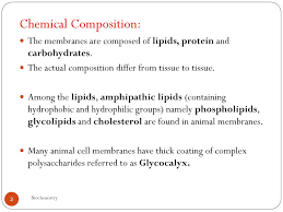 There are also negatively charged proteins within the cell to which the cell membrane is impermeable. Chapter 2 Biomembranes Ppt Download