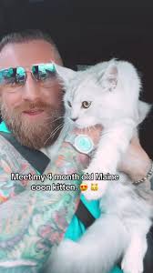 Yes 5 cats. Streaming LIVE everyday 👇🏻 9am eat 5:30pm est 9:30pm est  Backup 👉🏻 @Hopontop2.0 All links