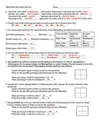 We did not find results for: Bikini Bottom Genetics Worksheet Answer Key Promotiontablecovers